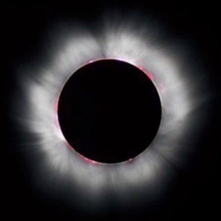 Avatar of Telegram channel "Mr Pool" @mr_pool_7221