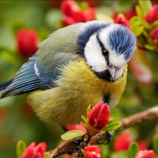 Гуляем в парке. Москва - TgScanner