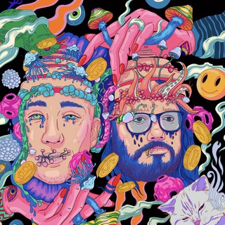 Kumar & Solo - TgScanner