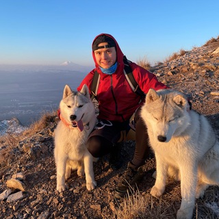 TRAVEL ◐ HUSKY - TgScanner