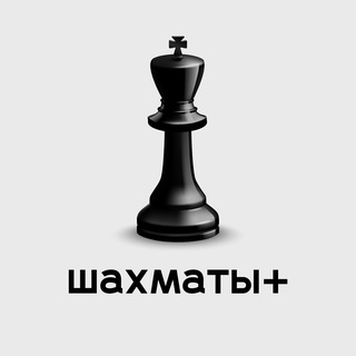 Шахматы + - TgScanner