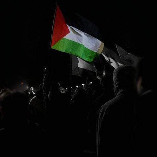 نُِثَار الشَّادي - TgScanner