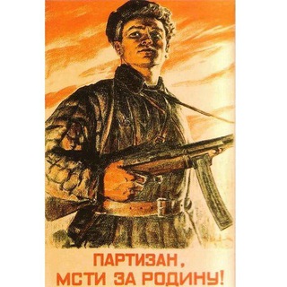 Аватар Телеграм канала "Партизаны за Родину" @partisanyzarodinu1