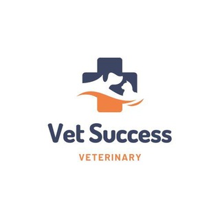 Аватар Телеграм каналу "Vet success(DVM/Veterinary)" @veterinarystudymatarial