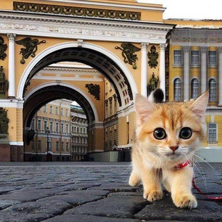 Аватар Телеграм канала "🔥 Фонтанка СПб" @spb_danger