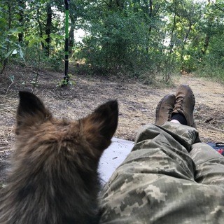 Аватар Телеграм каналу "Заберіть у Ліпка РПГ (забрали)" @lipkosv