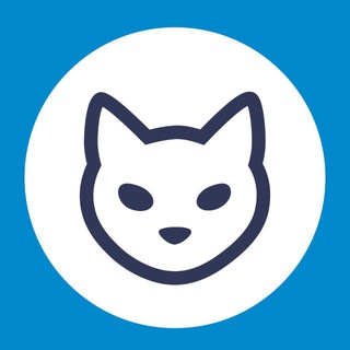 CAT — TON Validator, Apps and News - TgScanner