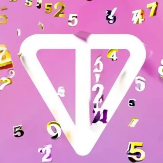 📀 TON Data Hub - TgScanner