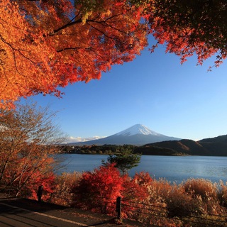 Планета Земля🍁 - TgScanner