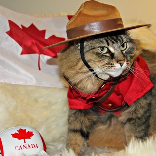 Аватар Телеграм канала "Emily’s life in Canada 🇨🇦" @emilyteachme
