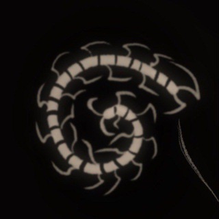 ПЕРЕЕЗД!!! s.lobotomia ☨ - TgScanner