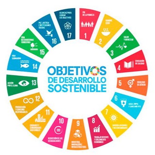 ODS y Educación🌍💙 - TgScanner