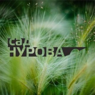 Telegram频道 "Сад Нурова" @sadnurova 的头像