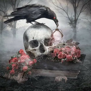 Аватар Телеграм канала "🔮 Hechizos 🔮" @+Q8TNqhJUYjdhY2Ex
