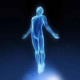 Avatar of Telegram channel "Основы жизни" @life_osnov