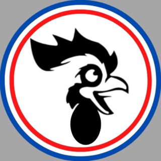 Avatar of Telegram channel "GALLIA DAILY | Voice of France" @galliadaily