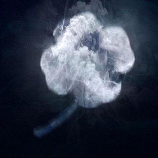 Мысли CLEVERА - TgScanner
