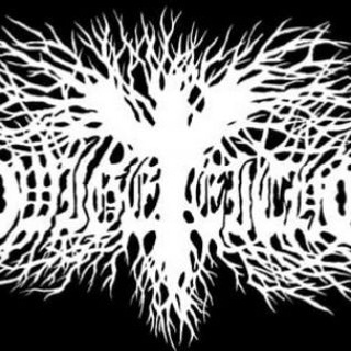 Avatar del canal de Telegram "⚔🌳EWIGE EICHE🌳⚔" @naturgesetzeewigeeiche