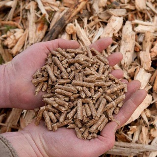 Wood Pelletss - TgScanner