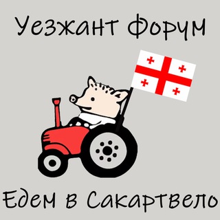 Аватар Телеграм канала "Уезжант форум - Едем в Грузию | эмиграция чат" @forum_georgia