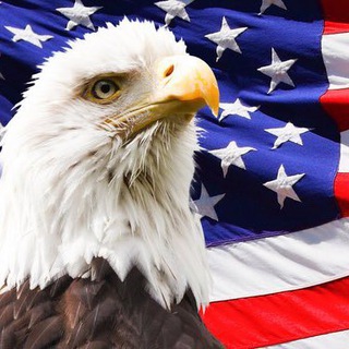All About USA 🇺🇸 - TgScanner