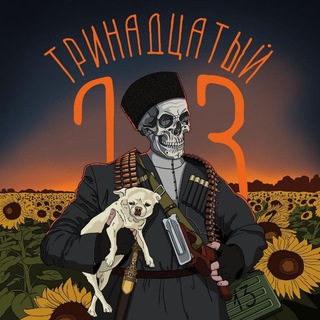 Тринадцатый. - TgScanner