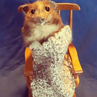 Avatar of Telegram channel "Уютный Трейд (резерв)" @cozytrade