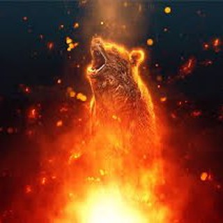 Аватар Телеграм каналу "ExpertTrading23x🏆" @experttrading23xofficiel