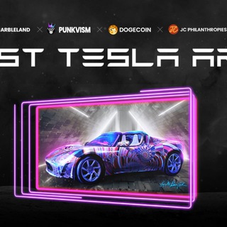 Lost Tesla Art Car Project - TgScanner