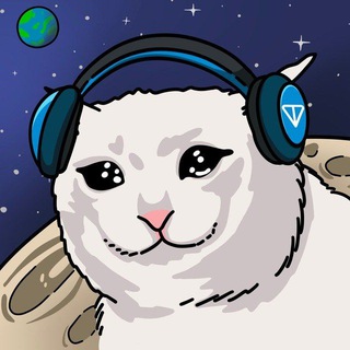 SAD MEOW_CTO - TgScanner