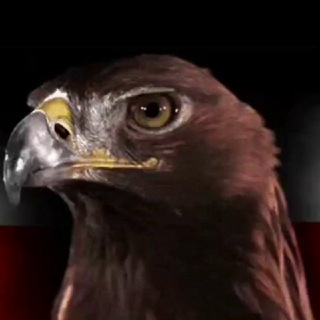 Avatar of Telegram channel "GlobalPatriots" @globalpatriots