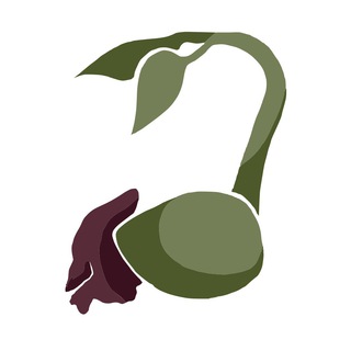 Avatar of Telegram channel "БиоЛогика" @biology_logic