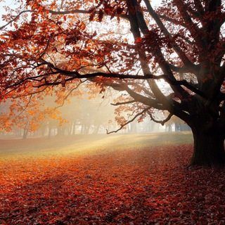 Avatar of Telegram channel "TRAVEL WONDERS" @wonderful_globe