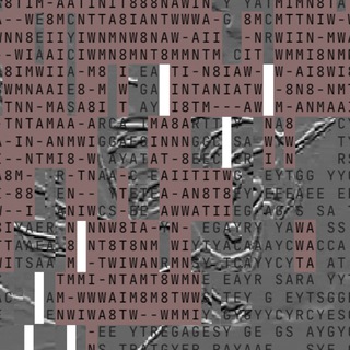 [cat gray eyes] - TgScanner