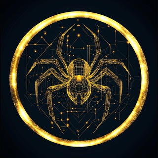 Spider Wealth - TgScanner