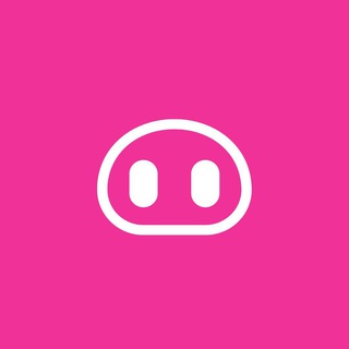 Pigmo chat 🐽 - TgScanner