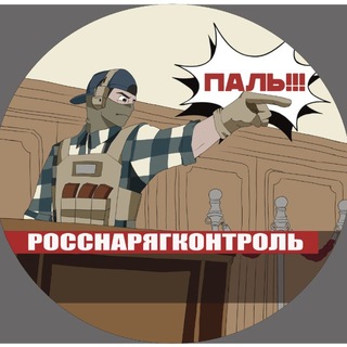 РосСнарягКонтроль (тот самый DOOMER_SQUAD) - TgScanner