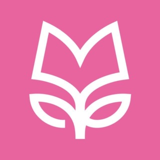Qizlar Biznes Marafoni | Qabul - TgScanner