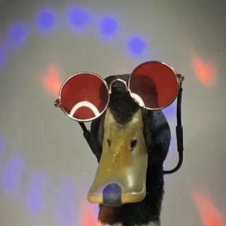 Вддада - TgScanner