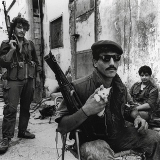 War Monitor - TgScanner