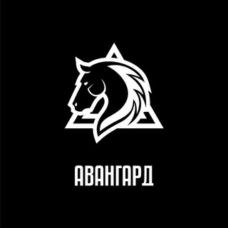 ВБС Авангард - TgScanner
