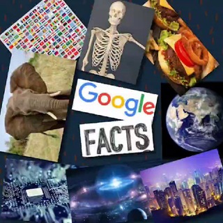 Avatar of Telegram channel "Google Facts™ [ ️@googlefactss🌎]" @googlefactss