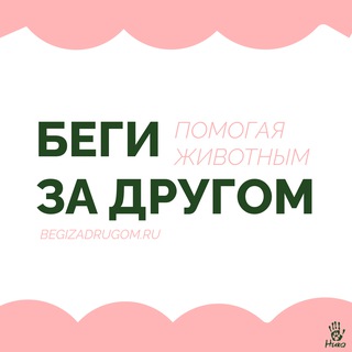 ЗАБЕГ «БЕГИ ЗА ДРУГОМ» - TgScanner