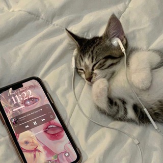 Avatar del canal de Telegram "Идеальный ракурс ♡" @+zZqTHcmDEoM2MTdi