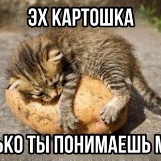 палочка твикс чоотт - TgScanner