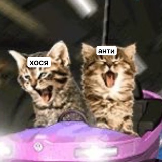 Аватар Телеграм канала "ПРОЭКТ АНТИ И ЗОСИ НЕ ВЕДИТЕСЬ STEREOTYPES 𑣲🧠🧩 confession" @stereotypeconf