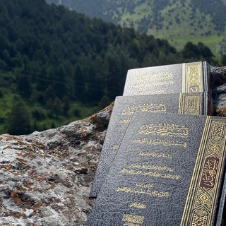 Аватар Телеграм каналу "دروس د.بركة الطلحي -وفقها الله-📚🌱" @drosdbarkah