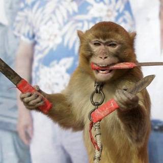 Avatar del canal de Telegram "ПонХаб" @+QdQRlD0brTs5NTIy