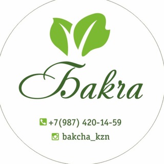 Аватар Телеграм канала "bakcha_kzn_" @bakcha_kzn