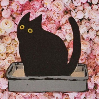 Кошачий лоток - TgScanner